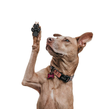Dog Foot Stickers
