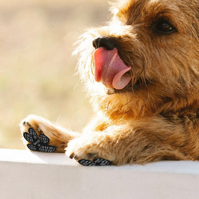 Dog Foot Stickers