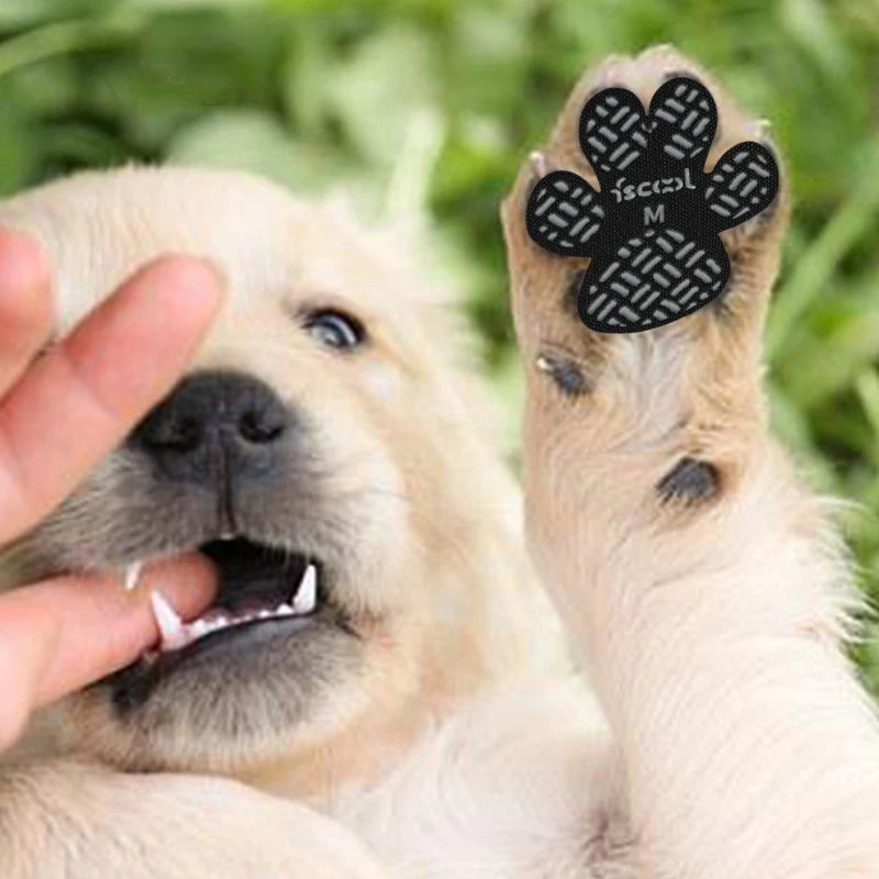 Dog Foot Stickers